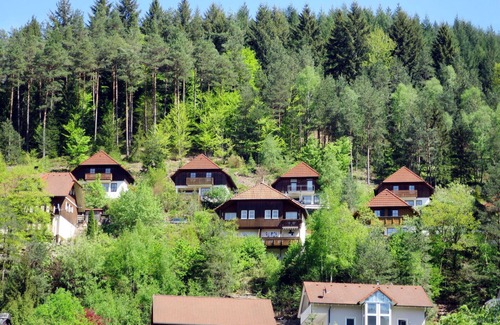 Hornberg House | Wonderful villa for 6 guests with WIFI, TV, balcony, pets allowed and parking
