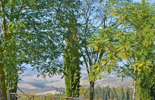 Asciano Villa | Wonderful villa for 6 guests with pool, WIFI, TV, pets allowed and parking