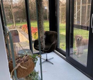 Opgrimbie House | Woning 'Chez Marley' in Maasmechelen