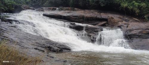 Devikolam House | Wood Castle Munnar