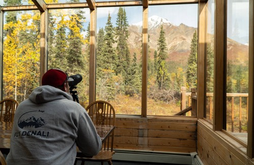 Nenana Cabin | Wood River Lodge - Moose Cabin - FLY IN ONLY!