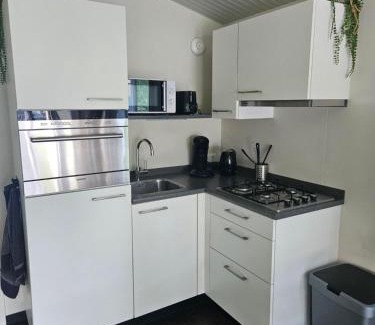 Gasselte Resort | Woodcabin op de Lente van Drenthe