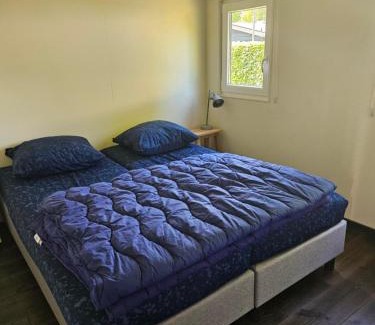 Gasselte Resort | Woodcabin op de Lente van Drenthe