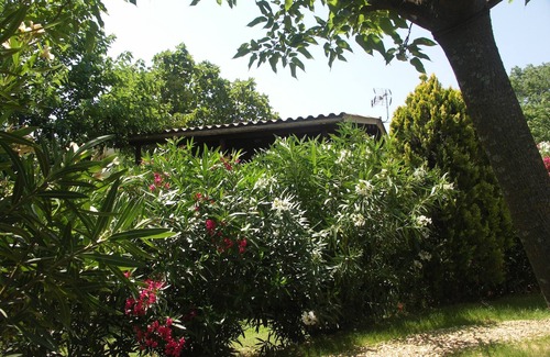 Roquebrune-sur-Argens House | Wooden chalet with large terrace