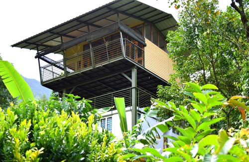 Devikolam Cottage | Wooden cottage in the middle of nature