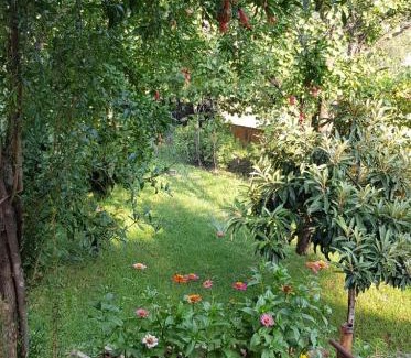 Mtskheta Apartment | Wooden Cottages - Mtskheta