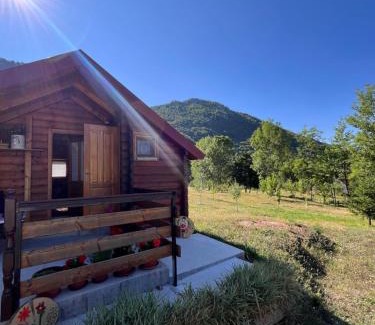 Milosevici House | Wooden house