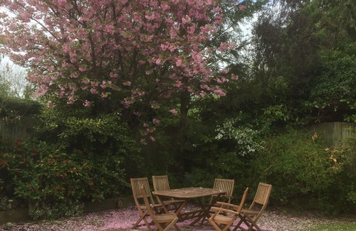 Henfield Cottage | Woodhouse Holiday Cottages, 3 Adjacent Holiday Lets . Ash Cottage