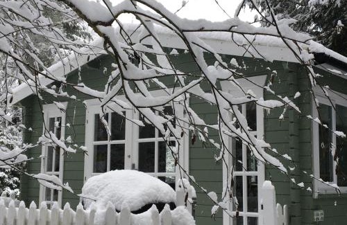 Tilford Cabin | Woodland Cabin With private Wood-Fired Hot-Tub