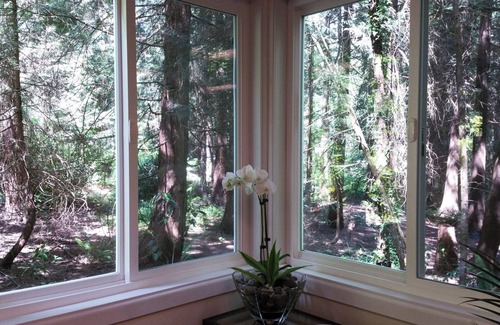 Bridle Trails House | Woodland retreat minutes from Microsoft