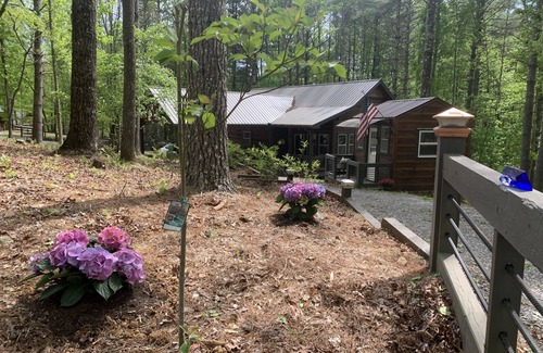 Morganton Cottage | WOODSIDE COTTAGE, a handicapped accessible cottage in Blue Ridge Mtns of N.GA.