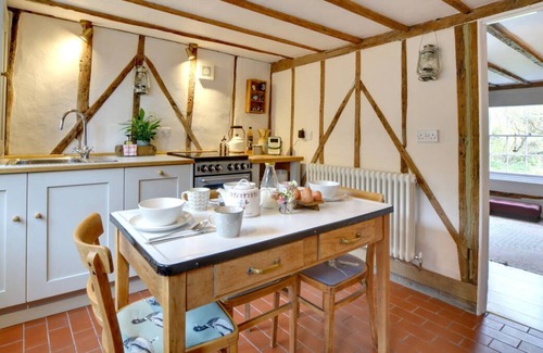 Cranbrook House | Woody in the beautiful Cranbrook