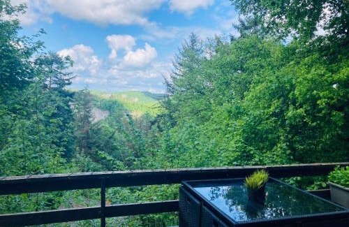 Blaimont Ski Chalet | Woody Lodge - Duplex Nature Bonsoy Ardennes