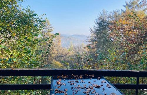 Blaimont Ski Chalet | Woody Lodge - Duplex Nature Bonsoy Ardennes