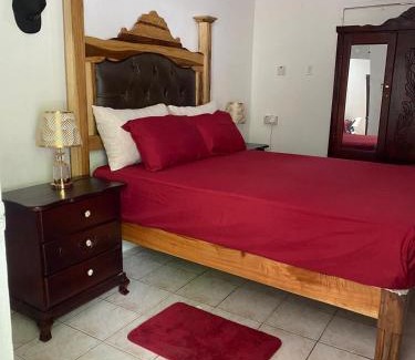 Port Antonio House | Woody Town Centre Apartment