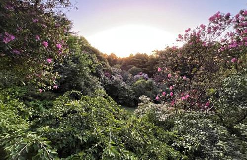 Olinda Bed & Breakfast | Woolrich Historic Garden Accommodation