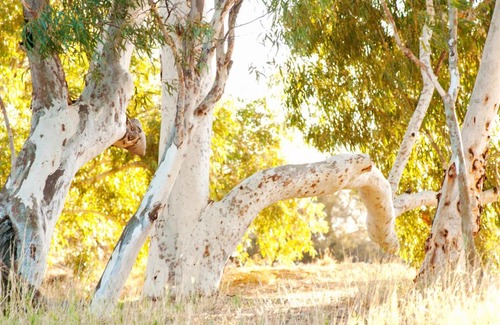 Wooramel House | Wooramel River Retreat