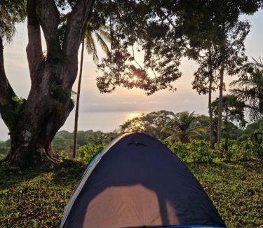 Principe Island Other | World's View Wild Camping Salaszoi, Principe Island
