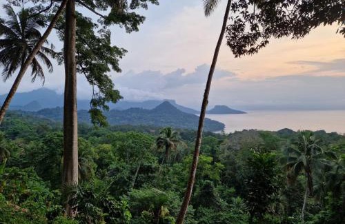 Principe Island Other | World's View Wild Camping Salaszoi, Principe Island