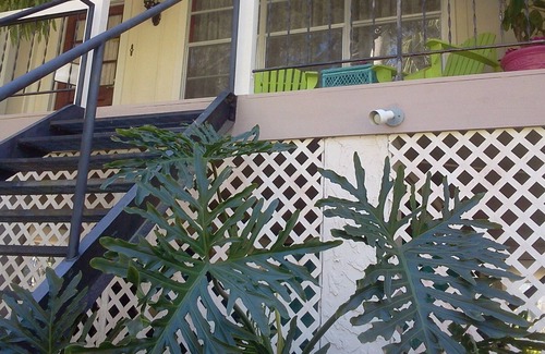 Yankeetown Apartment | World Traveler Suite at Magnolia House, Coastal Riverfront, Beachfront