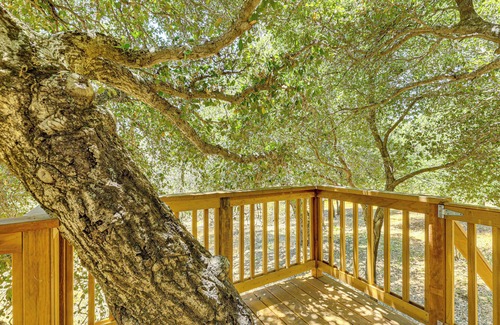 Julian Cottage | Wraparound Deck, Game Room - Cuyamaca Mtns Cabin!