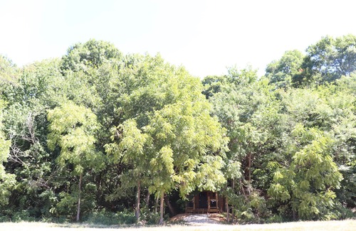 Powell Cabin | Wren's Nest Cabin
