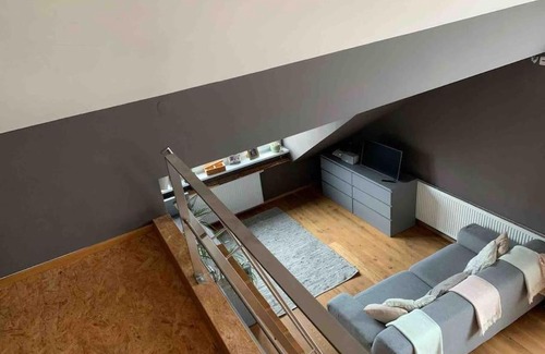 Wuerzburg Apartment | Wunderschöne Loft-Stadtwohnung