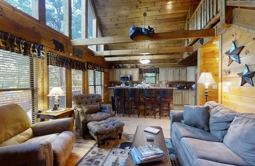 Gatlinburg - Pigeon Forge Cabin | Wuzzy's Flophouse - WiFi/Arcade Game/Sauna/Hot Tub/Fireplace