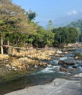 Lan Saka House | WWP HAUS Glamping and stay in Kiriwong คีรีวง