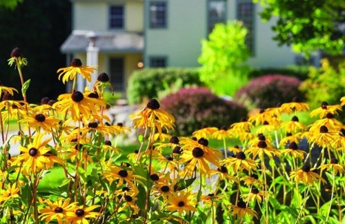 Francestown Condo | Wyndham Crotched Mountain Resort - 2 Bedroom