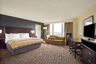 Downtown Hotel | Wyndham Garden Norfolk Downtown