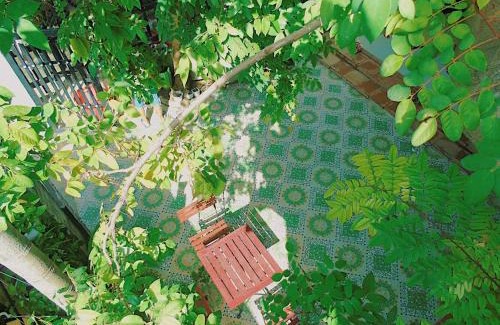 Hoi An House | Xanh Lá Homestay Hội An