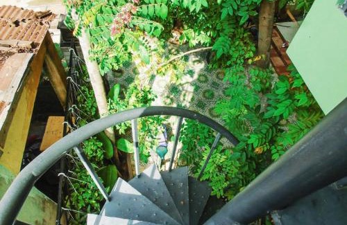 Hoi An House | Xanh Lá Homestay Hội An