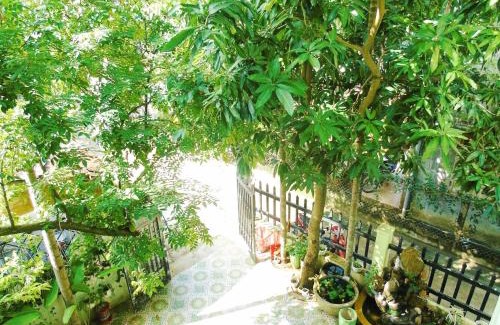 Hoi An House | Xanh Lá Homestay Hội An