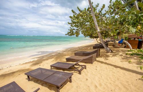 Las Terrenas Apartment | Xeliter Balcones del Atlantico - Las Terrenas