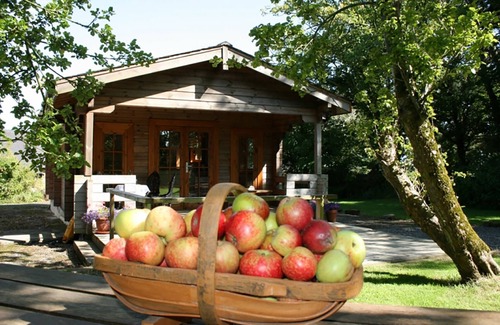 Bodorgan Cottage | Y BERLLAN, family friendly in Bodorgan