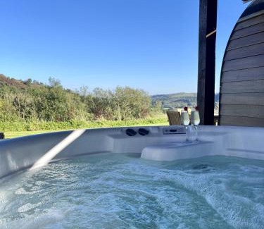 Llanwddyn House | Y Fedwen