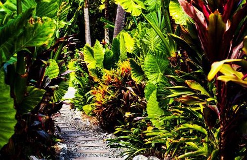 Hamilton Island Villa | Yacht Club Villas