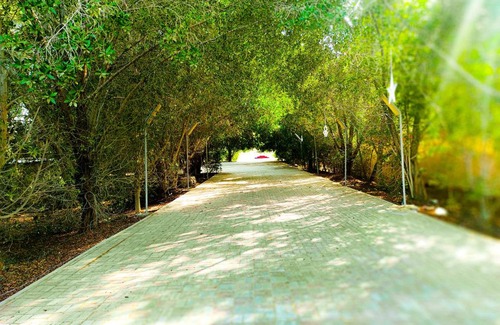 Ajman Other | Yacob's Farm & Camping