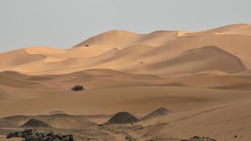 Lac Yasmins Hotel | Yakout Merzouga Luxury Camp