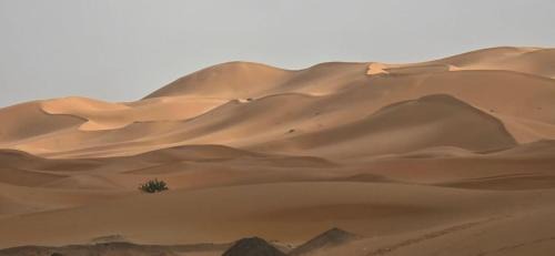 Lac Yasmins Hotel | Yakout Merzouga Luxury Camp