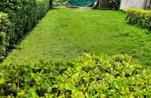 Rumtek House | YAKTEN PARADISE HOMESTAY