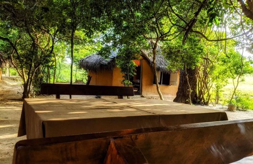 Palatupana Cabin | Yala Jungle Haven