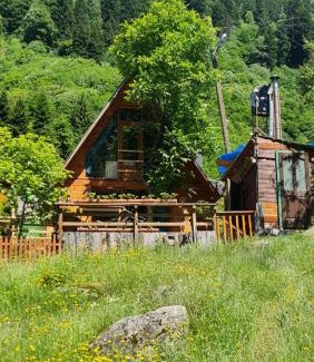 Ayder Ski Chalet | Yayla Bungalov