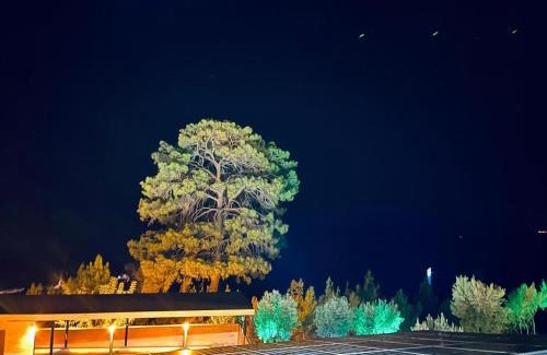 Kocasinan Resort | Yelken Bungalows