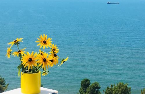 Makhinjauri Apartment | Yellow room with sea view
