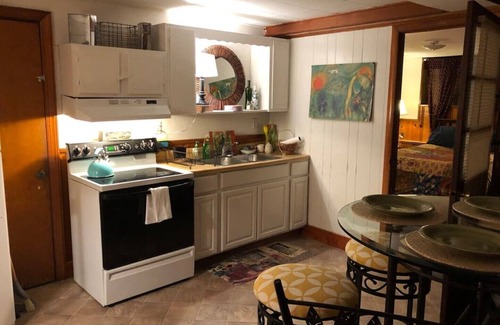 Winchester Apartment | Yellow Submarine trendy basement apt and courtyard
