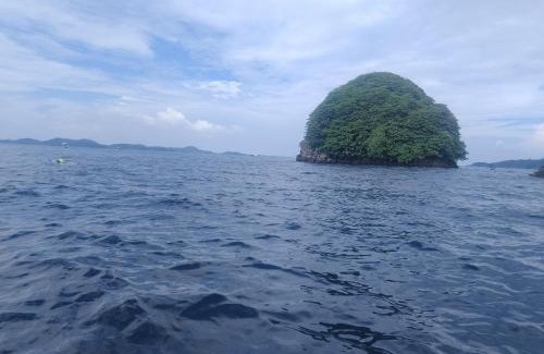 Pianemo Islands House | Yenmankankan Homestay