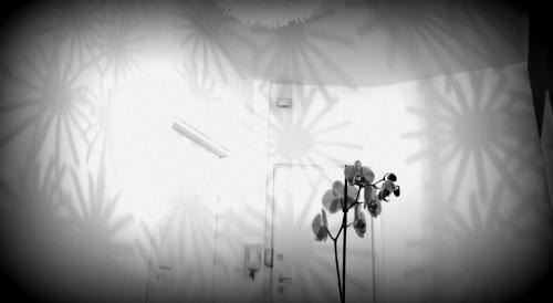 Santa Rita Apartment | yHome | Barletta Home Apartment