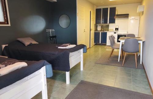 Ikaalinen Apartment | Yksiö kylpylänvuorella